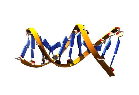 DNA is the molecule of heredity which forms the chromosomes and which contains all the genes.  Each gene is a piece of DNA that contains, in coded form, all the information relating to the life of a living organism.