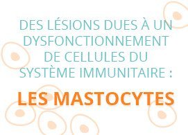 Des lésions dues à un dysfonctionnement de cellules du système immunitaire : les mastocytes