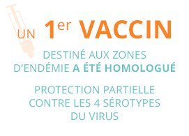 Un premier vaccin destiné aux zones d'endémie a été homologué; protection partielle contres les 4 sérotypes du virus