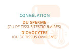 Congélation du sperme (ou du tissus testiculaires), d'ovocytes (ou du tissus ovariens)