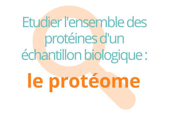 Inserm_Proteomique_IAU.jpg