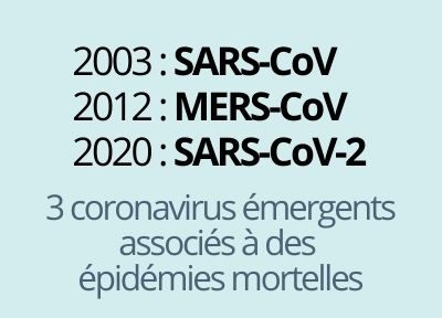 3 coronavirus émergents associés à des épidémies mortelles : 2003 : SARS-CoV ; 2012 : MERS-CoV ; 2020 : SARS-CoV-2.