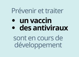 Prévenir et traiter : un vaccin et des antiviraux en cours de développement