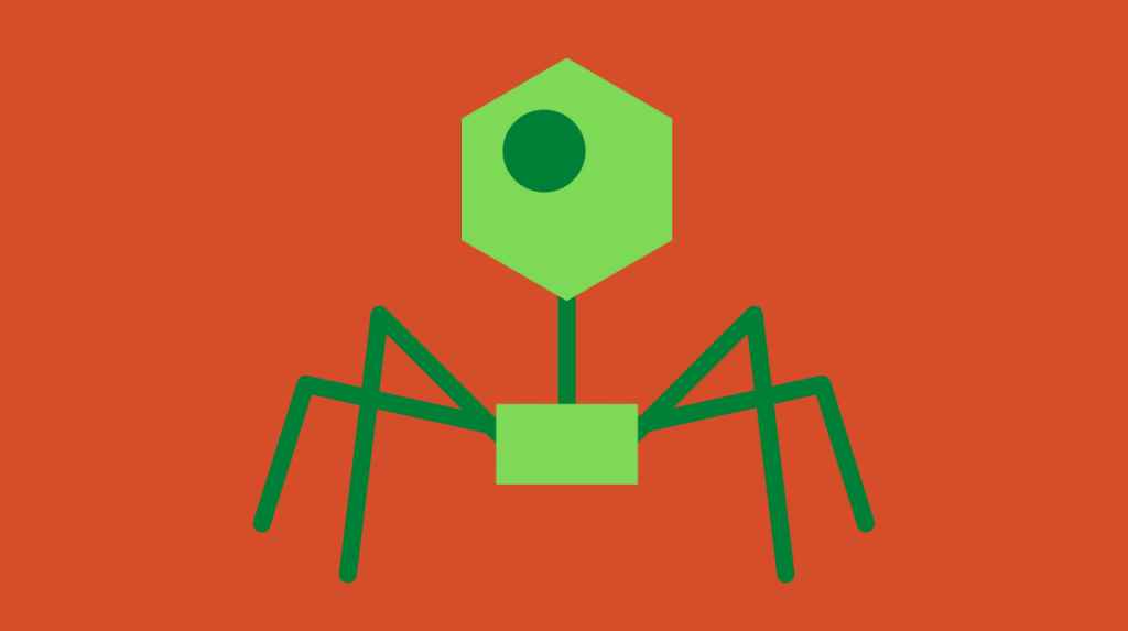canva bacteriophage ima Bataille de microbes : C’est quoi la phagothérapie ? ⚔🛡