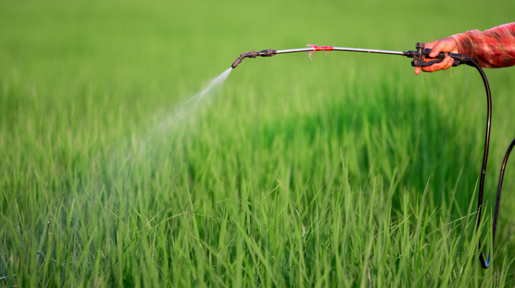 canva pesticides ima Ambiance ta life 💨🕺: C’est quoi l’exposome