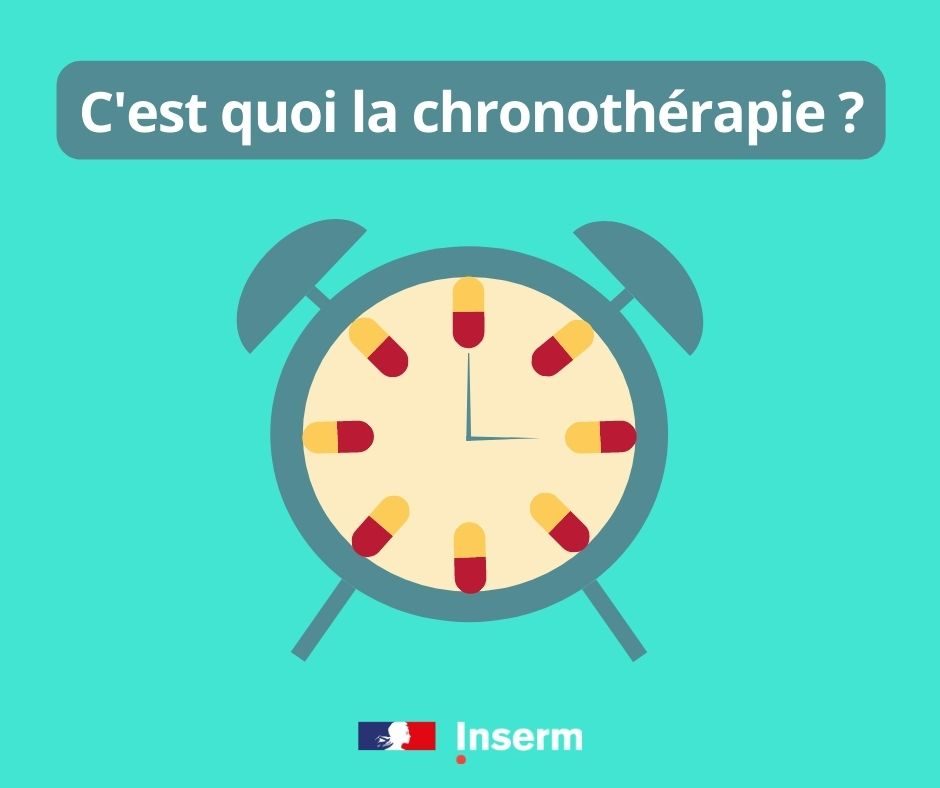 cest quoi la chronotherapie À la bonne heure – C’est quoi la chronothérapie ? ⏰ 💊