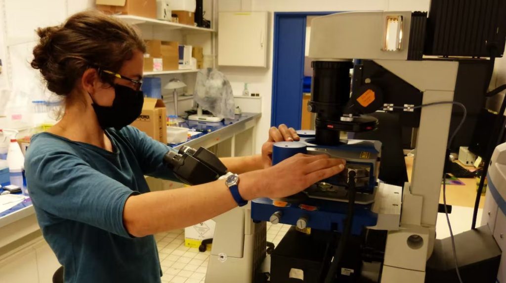 Claire Valotteau utilise un microscope à force atomique.