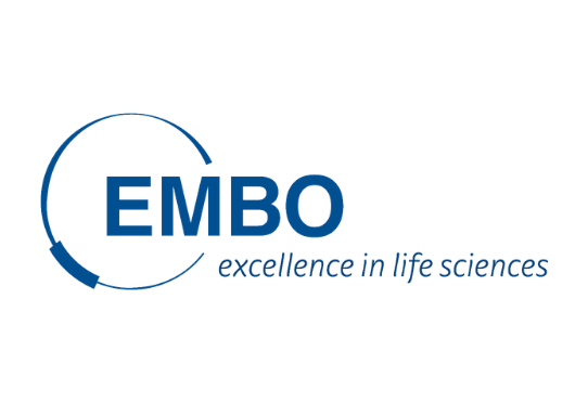EMBO_Logo_IAU.png