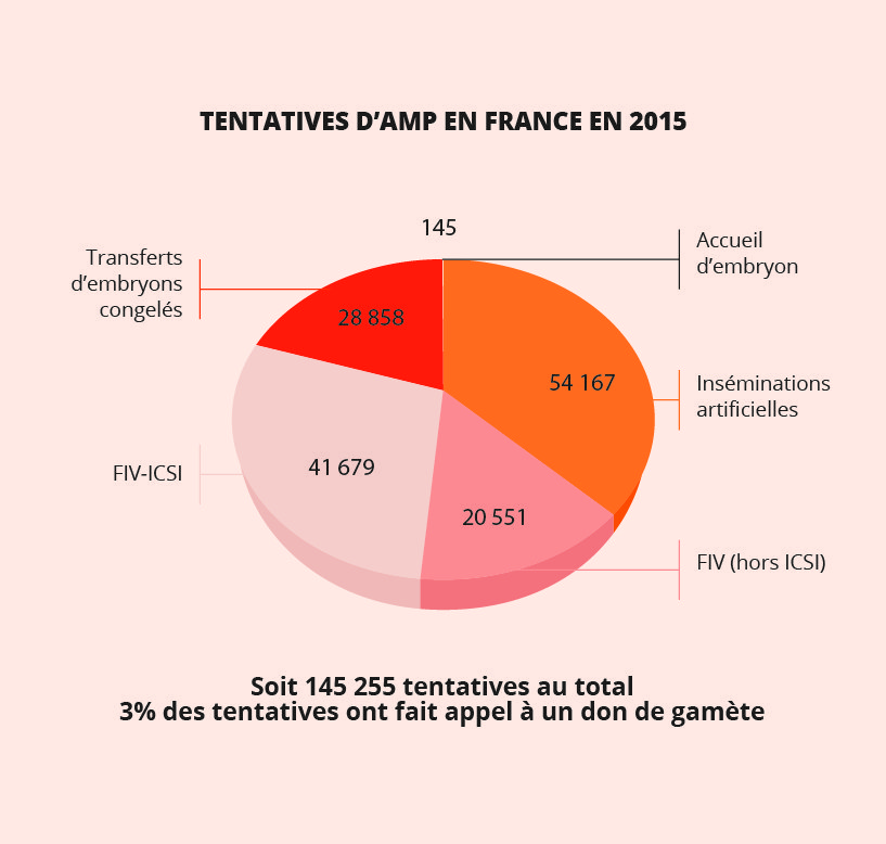 Tentatives d’AMP en France en 2015 : Inséminations artificielles : 54167 		FIV (hors ICSI) : 20551 		FIV-ICSI : 41679 		Transferts d’embryons congelés : 28858 		Accueil d’embryon : 145 Soit 145 255 tentatives au total 3% des tentatives ont fait appel à un don de gamète.