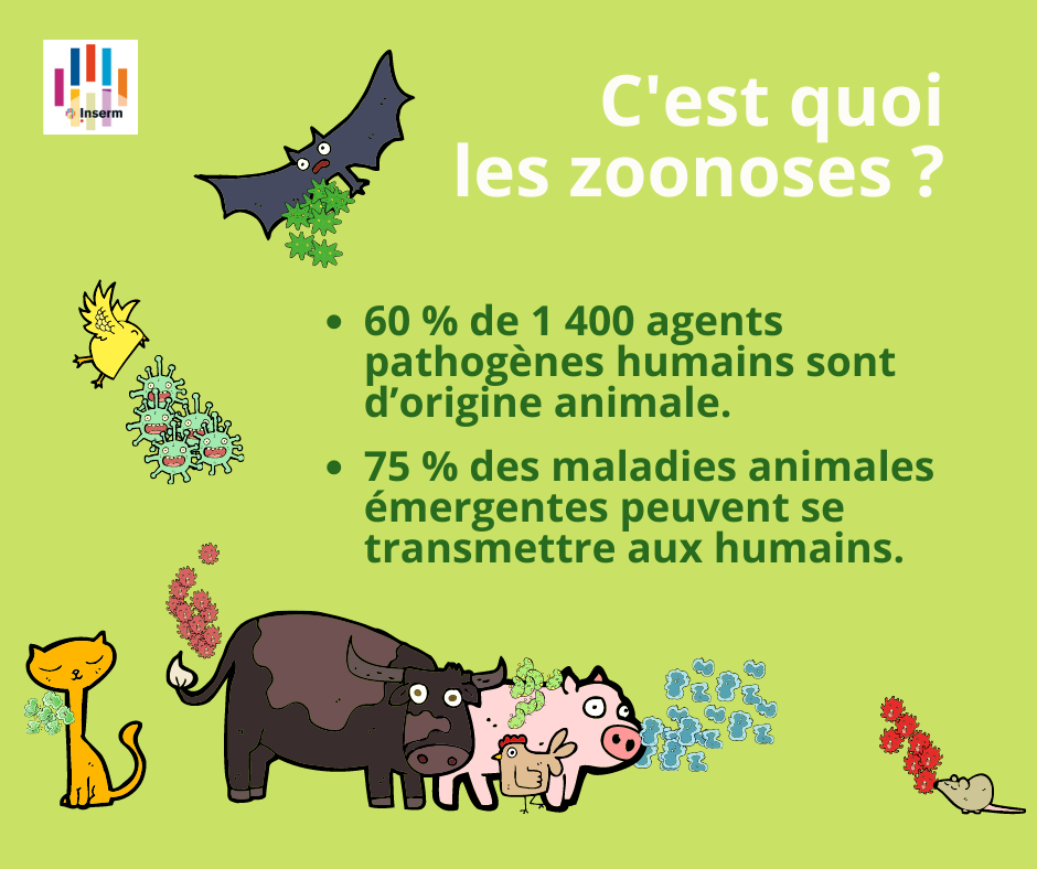 inserm cestquoizoonoses fb Pense-bête : C’est quoi les zoonoses ? 🦇🦠
