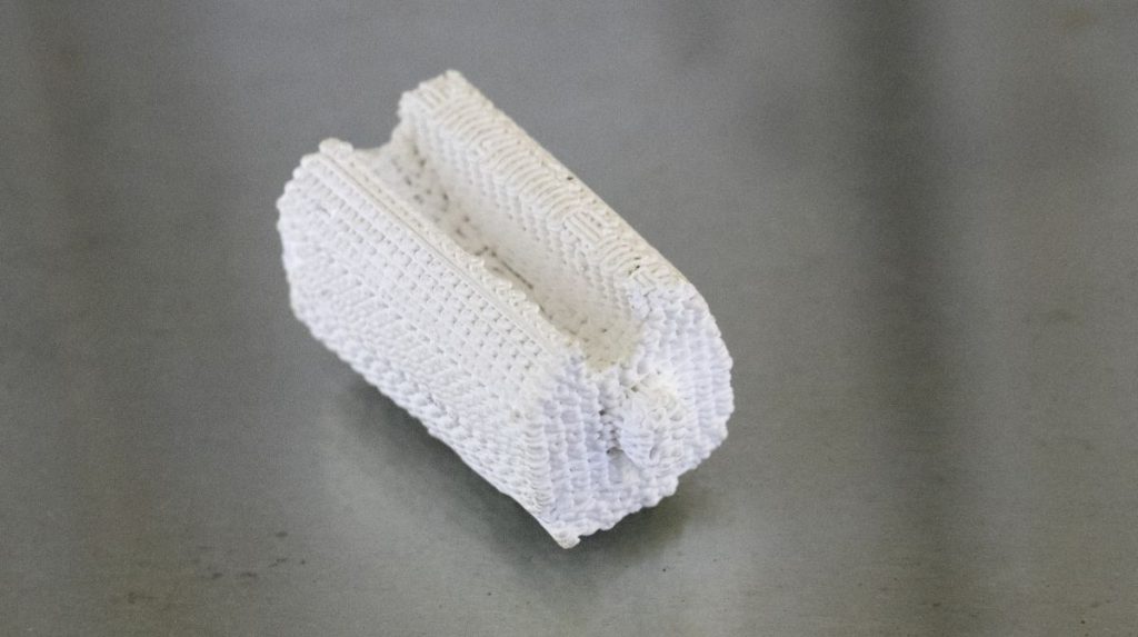 a bioprinted bone fragment 
