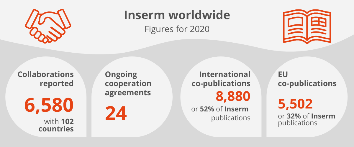 Inserm internationally –  Figures for 2020Collaborations reported: 6,580 with 102 countriesOngoing cooperation agreements: 24International co-publications 8,880 or 52% of Inserm publicationsCo-publications with the European Union: 5,502 or 32% of Inserm publications