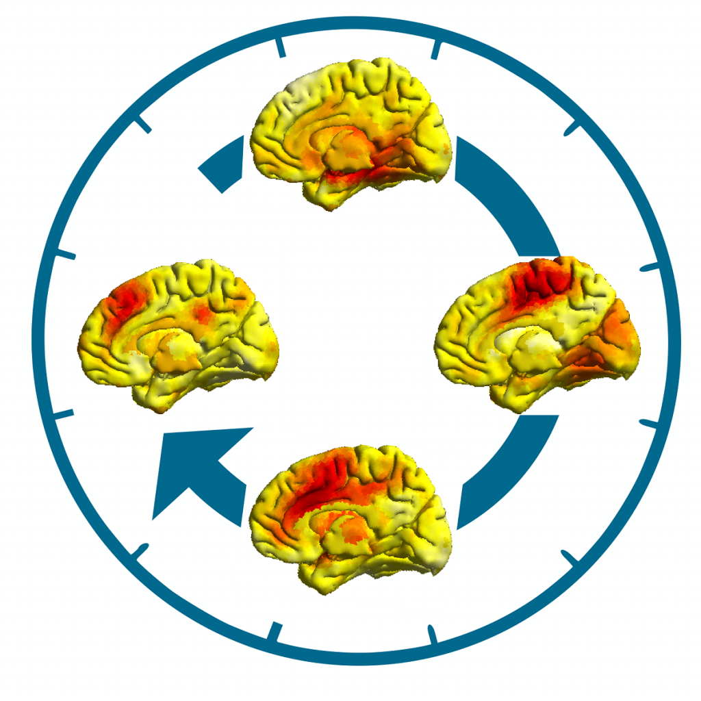 Chronnectome limbique en IRM fonctionnelle. La connectivité des régions cérébrales avec le réseau limbique varie spontanément selon des états récurrents (en rouge). Les participants déprimés effectuent le cycle moins vite que les participants contrôles.
