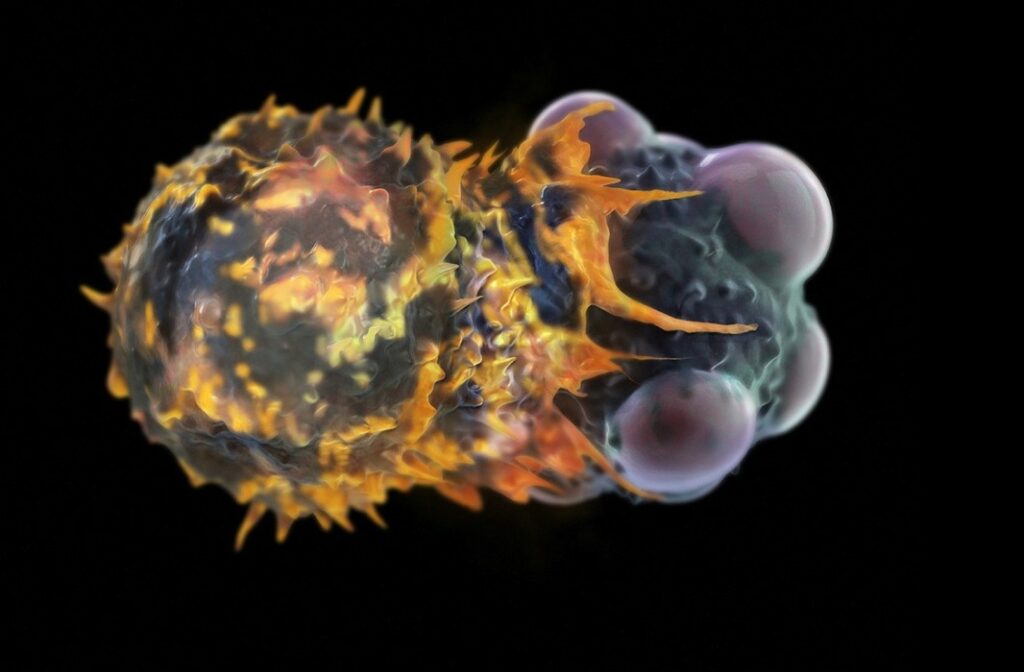 Illustration d'une cellule immunitaire cherchant à détruire une cellule tumorale.