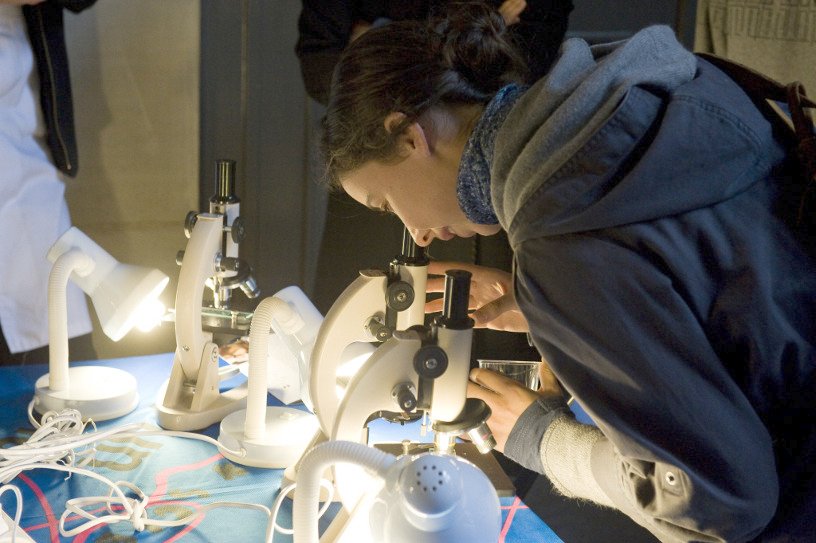 Une visiteuse observe des cellules au microscope lors de la Fête de la Science