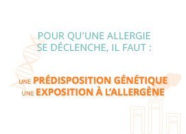 Pour qu'une allergie se déclenche, il faut : une prédisposition génétique, une exposition à l'allergène