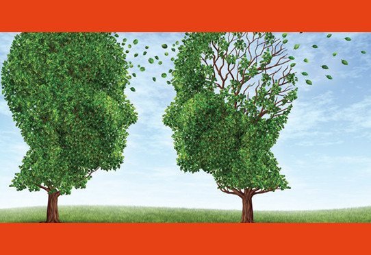 Choc santé - Alzheimer : fatalité ou espoir ?