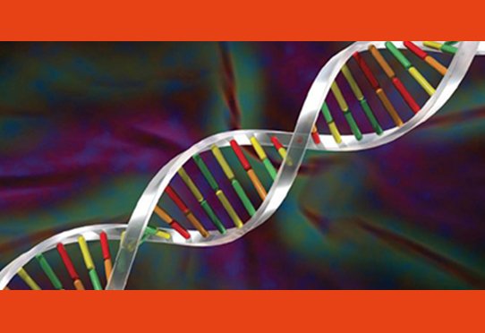 Choc santé - Tests génétiques : illusion ou prédiction ?