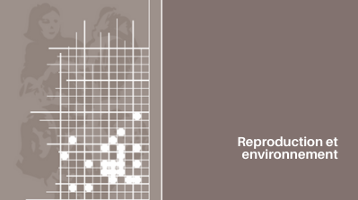 Expertise collective 2011 Reproduction et environnement