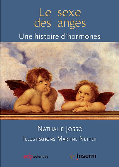 Le sexe des anges - Une histoire d'hormones