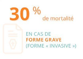 30 % de mortalité en cas de forme grave (forme "invasive")