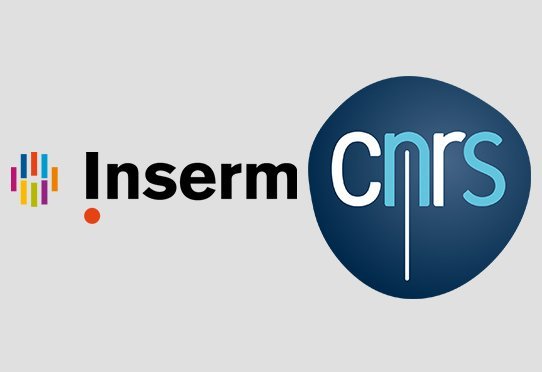 Inserm_logo_InsermCNRS_IAU.jpg