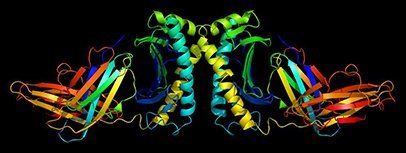 Structure of the HFE protein © Emw - Own work