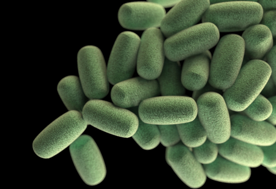 Unsplash_CDC_Bacteries_IAU.png